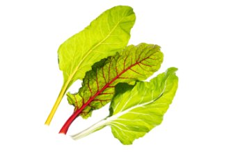 מנגולד צבעוני