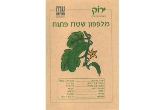 זרעי מלפפון שטח פתוח