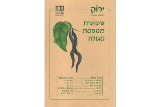 זרעי שעועית מטפסת סגולה